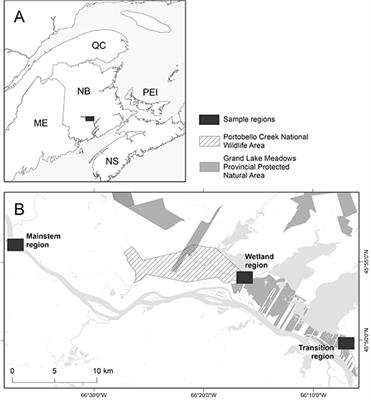 Network-Based Biomonitoring: Exploring Freshwater Food Webs With Stable Isotope Analysis and DNA Metabarcoding